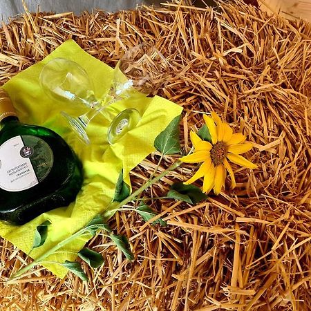 Schlaffass Mit Wellness In Alter Scheune Seinsheim 外观 照片